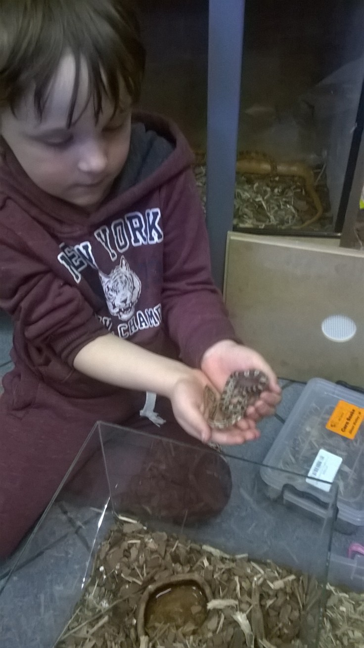 WP_20170527_15_19_26_Pro