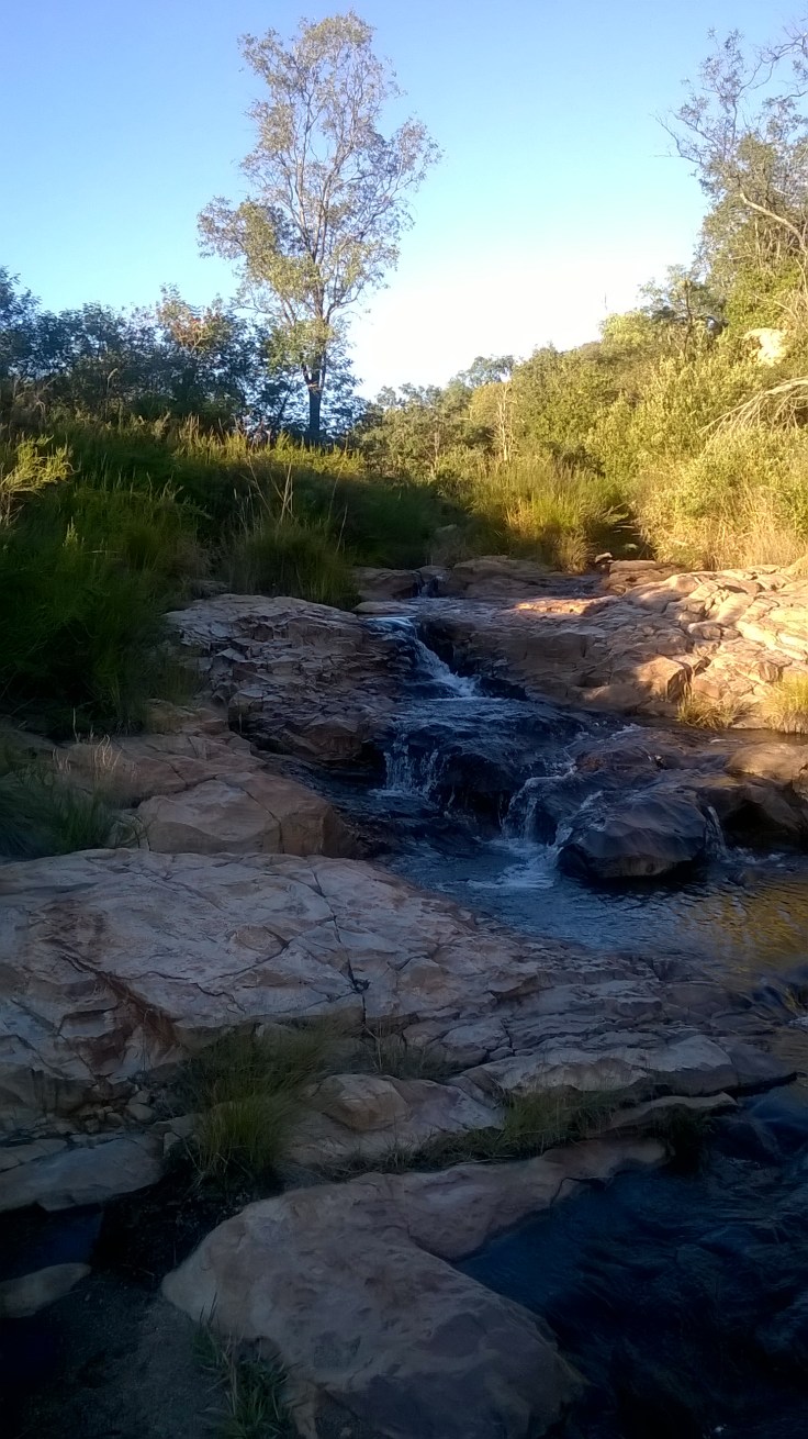 WP_20180424_07_09_12_Pro