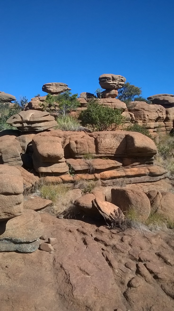 WP_20180424_14_54_50_Pro