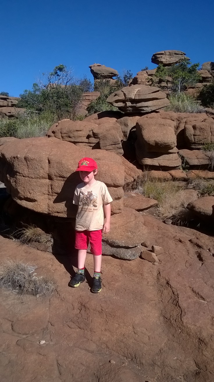 WP_20180424_14_55_08_Pro